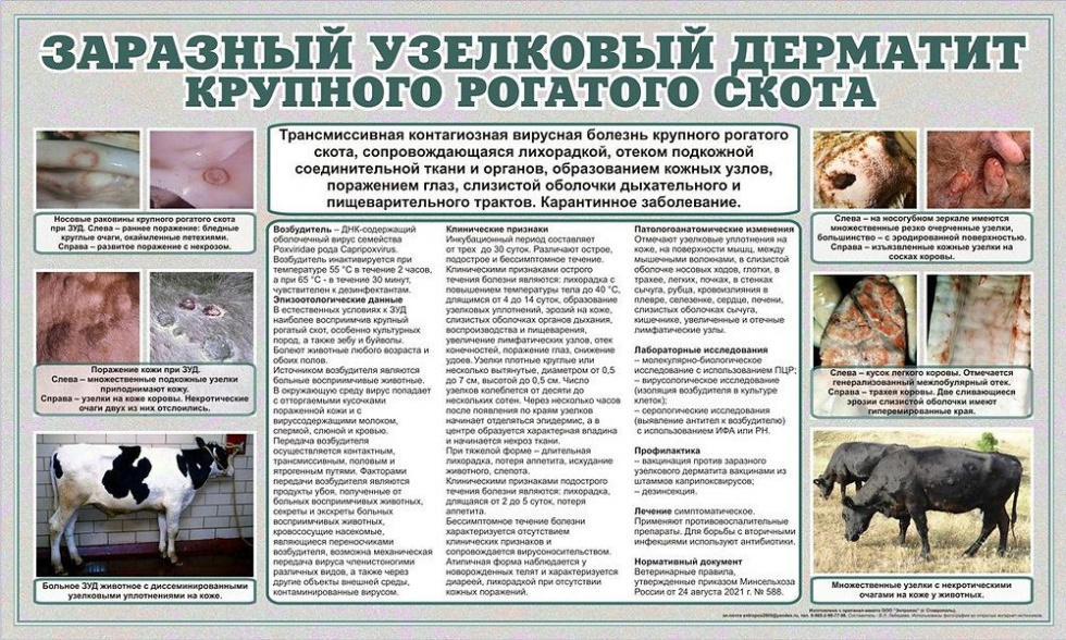 МИНИСТЕРСТВО СЕЛЬСКОГО ХОЗЯЙСТВА ИРКУТСКОЙ ОБЛАСТИ